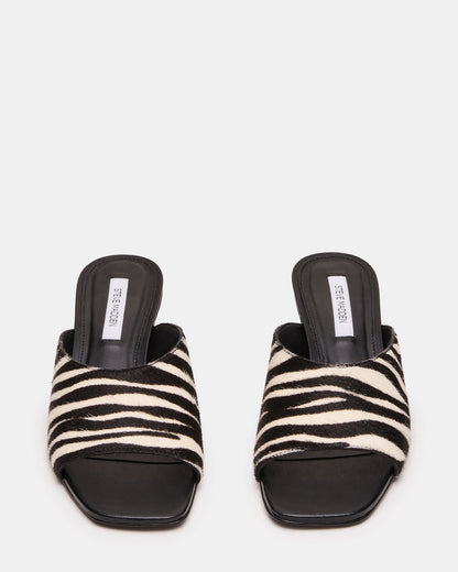 TRINA ZEBRA